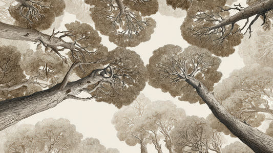 Papel mural Copas de Árboles, detalle del diseño: copas de pinos vistas desde abajo en sepia.