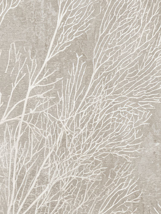 Papel mural Recife Claro, detalle del diseño: ramas de coral blancas sobre fondo beige grisáceo estucado.