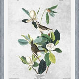 Cuadro Botanical print