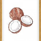 Cuadro COCONUTS