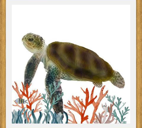 Cuadro Tortuga marina