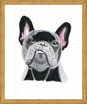 Cuadro Bulldog Rockstar