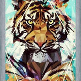Cuadro It Tiger