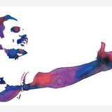 Cuadro Freddie Acuarela 2