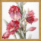 Cuadro Flor de Cactus 02