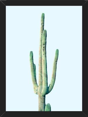 Cuadro Loner Cactus