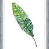 Cuadro HOJA DE PLATANO