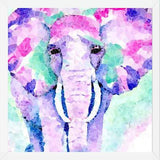 Cuadro Elefante Rosa