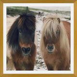 Cuadro Mini Horses in the Snow