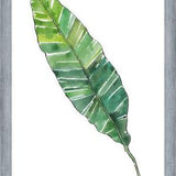 Cuadro HOJA DE PLATANO