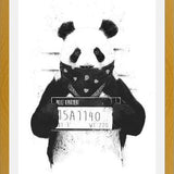 Cuadro Bad Panda