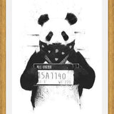 Cuadro Bad Panda