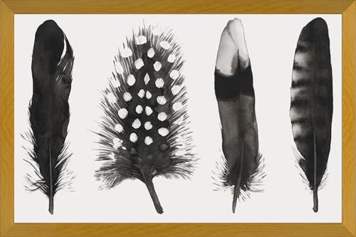 Cuadro Plumas Acuarela