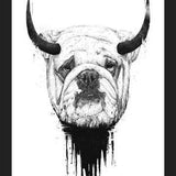 Cuadro Bulldog