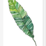 Cuadro HOJA DE PLATANO