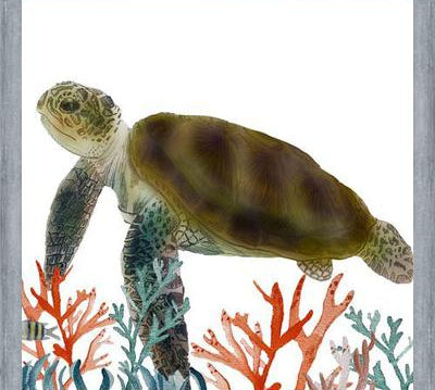 Cuadro Tortuga marina
