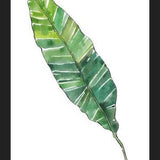 Cuadro HOJA DE PLATANO