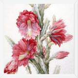 Cuadro Flor de Cactus 02