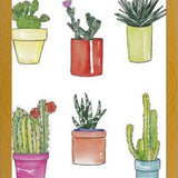 Cuadro CACTUS & PASTEL