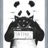 Cuadro Bad Panda