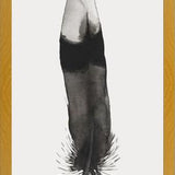 Cuadro Pluma Acuarela 2