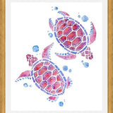 Cuadro tortugas acuaticas