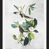 Cuadro Botanical print
