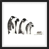 Cuadro Emperor penguin