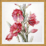 Cuadro Flor de Cactus 02