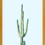 Cuadro Loner Cactus