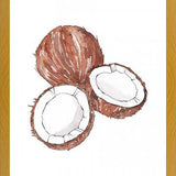 Cuadro COCONUTS