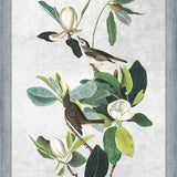 Cuadro Botanical print