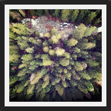 Cuadro Aerial Wilderness