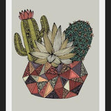 Cuadro Cactus