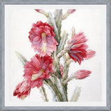 Cuadro Flor de Cactus 02