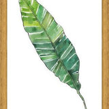 Cuadro HOJA DE PLATANO