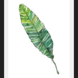 Cuadro HOJA DE PLATANO