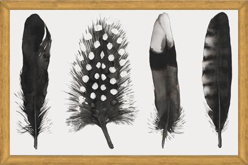 Cuadro Plumas Acuarela