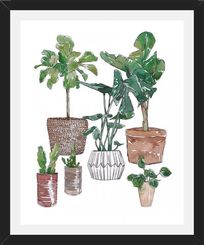 Cuadro Plantas