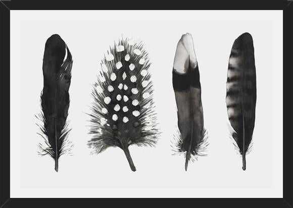 Cuadro Plumas Acuarela