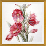 Cuadro Flor de Cactus 02