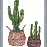 Cuadro Cactus
