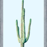 Cuadro Loner Cactus