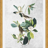 Cuadro Botanical print