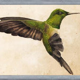 Cuadro Colibrí Verde Acuarela