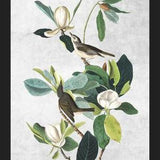 Cuadro Botanical print