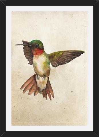 Enmarcado Colibrí Acuarela