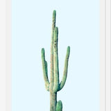 Cuadro Loner Cactus