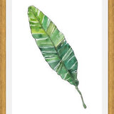 Cuadro HOJA DE PLATANO