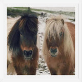 Cuadro Mini Horses in the Snow